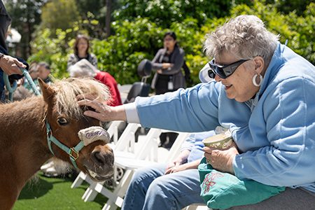 Residents from the Masonic Homes took part in an MCYAF-sponsored wellness event on campus in May featuring mini horses and burros from the Caring Cowgirl.